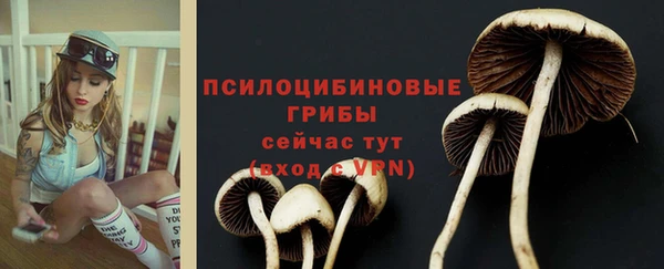 таблы Елизово